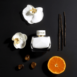 montblanc-signature